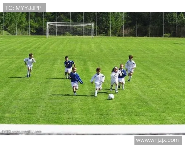 足球明星成长之路全景解析与发展历程图解