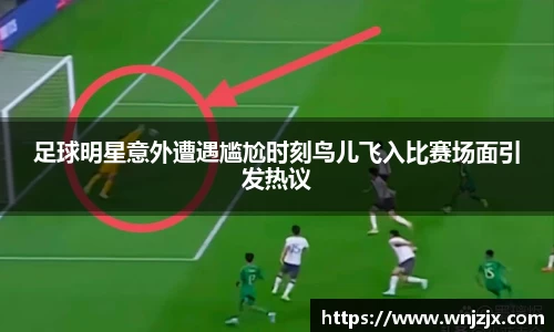 足球明星意外遭遇尴尬时刻鸟儿飞入比赛场面引发热议